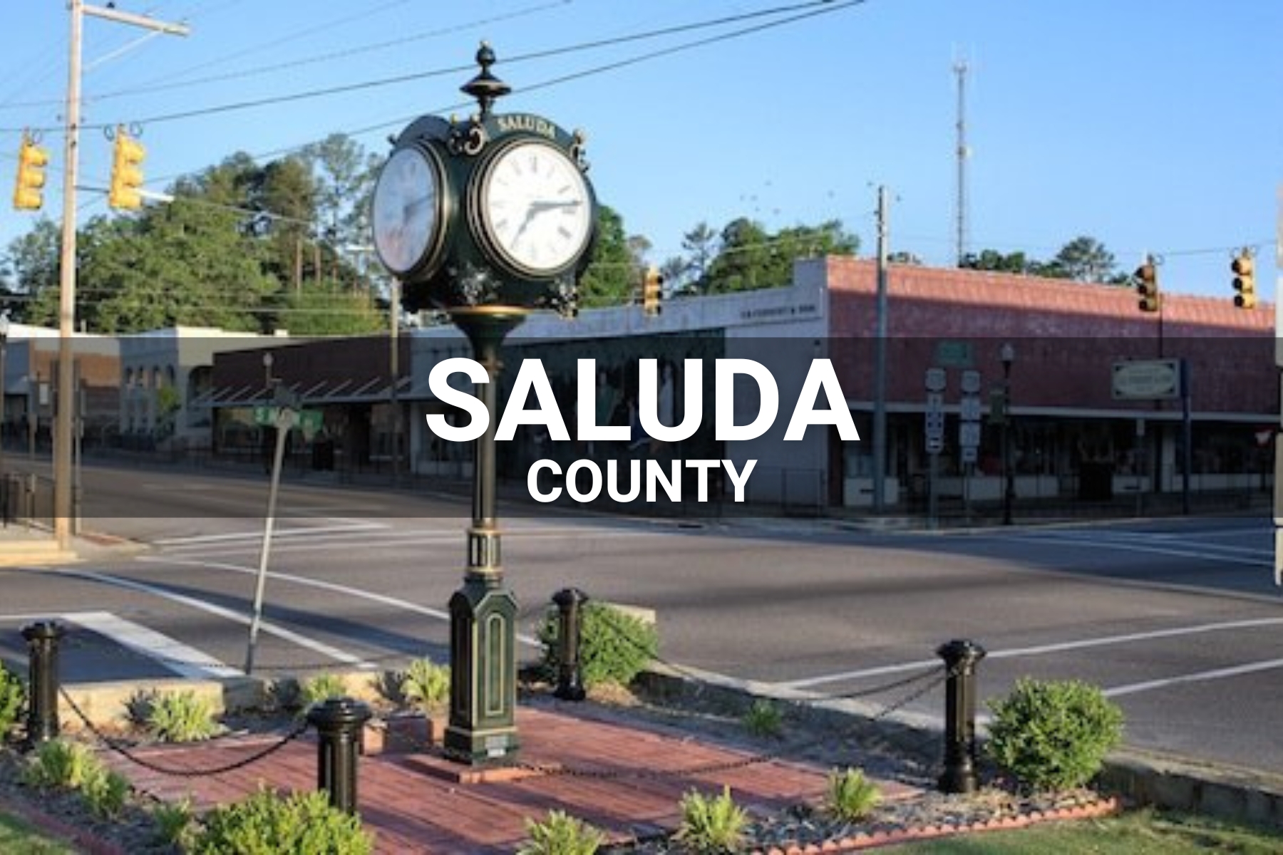 Saluda County